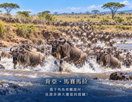 狂野非洲-動物大遷徙12天
